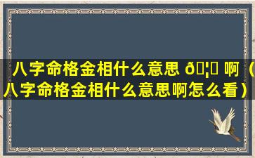 八字命格金相什么意思 🦅 啊（八字命格金相什么意思啊怎么看）